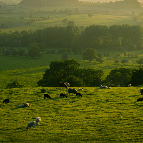 Эдийн засаг 2025 оны III-р улиралд 5.9 хувиар өслөө.
