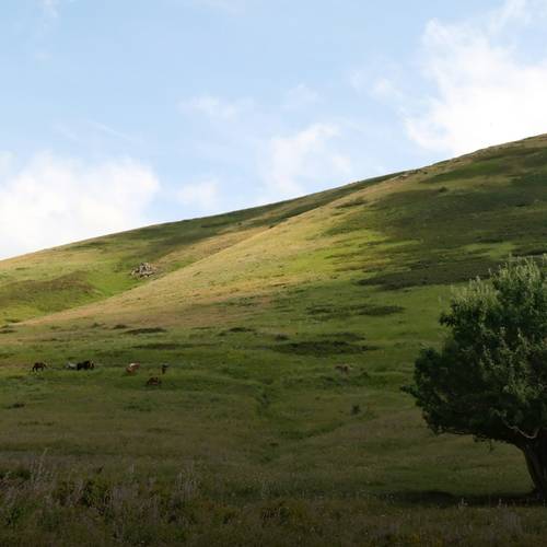 Төв Ази АНУ-тай ойртсоор: Монголд өгөх сургамж