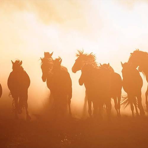 Хэрэв төсвийн сахилга бат хангагдсан бол...
