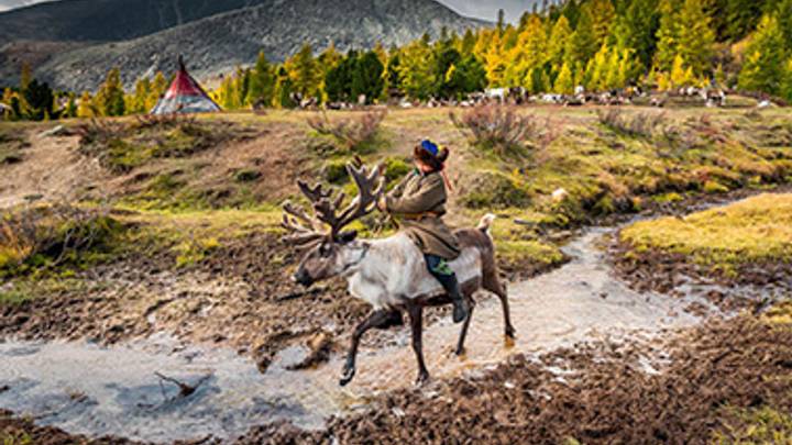 Tsaatan nomad family