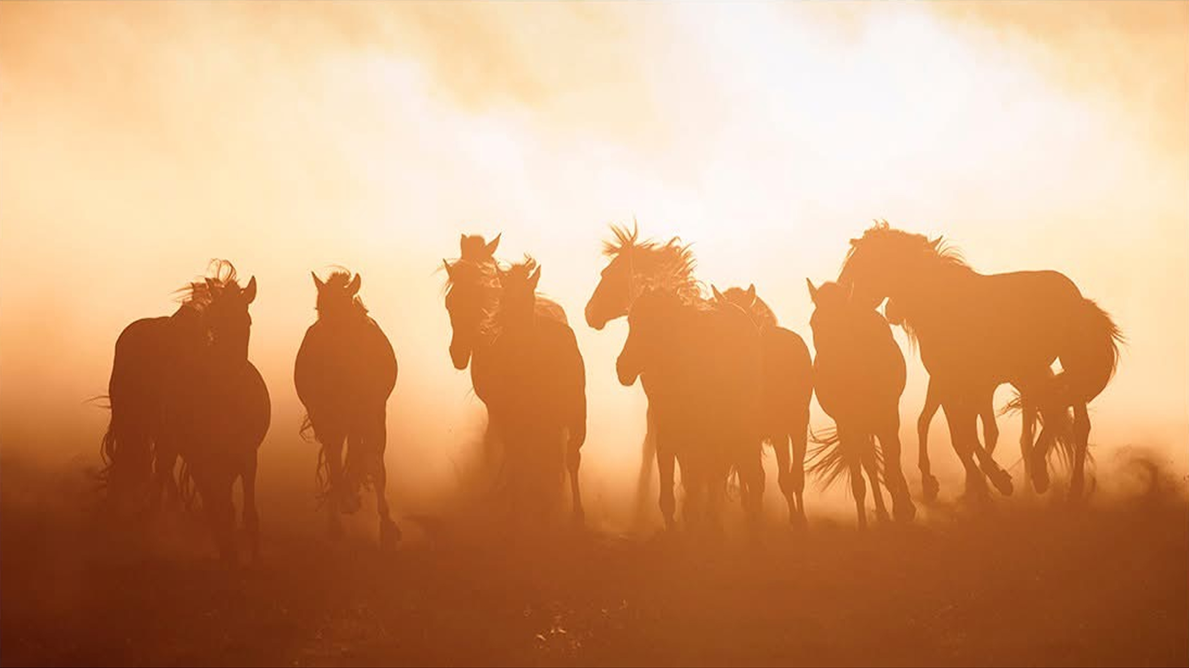 Хэрэв төсвийн сахилга бат хангагдсан бол...