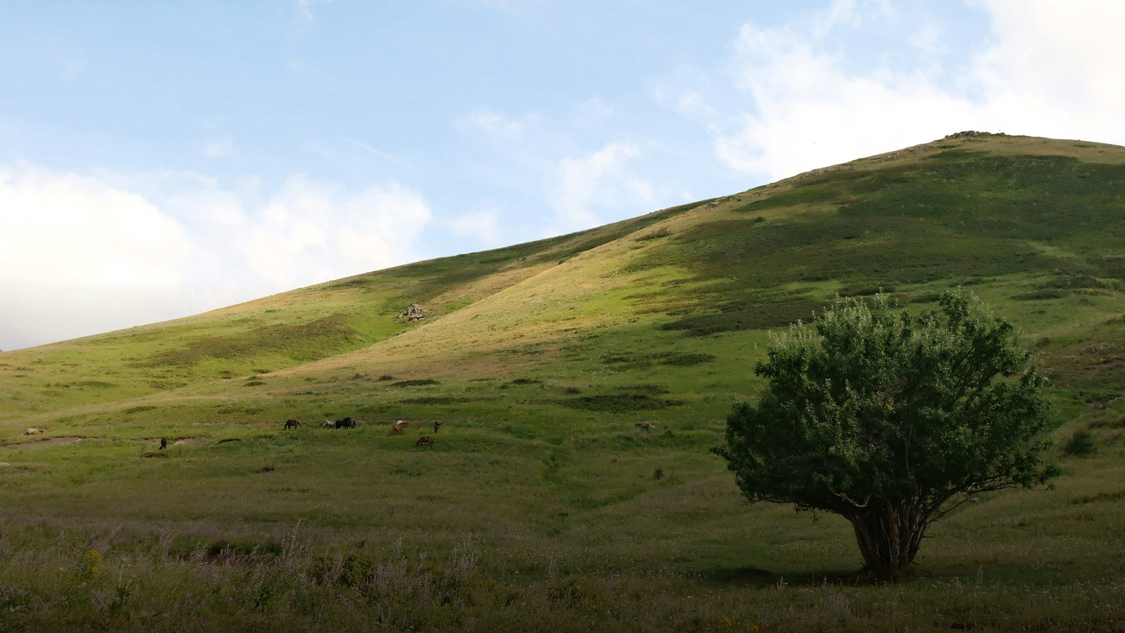 Төв Ази АНУ-тай ойртсоор: Монголд өгөх сургамж
