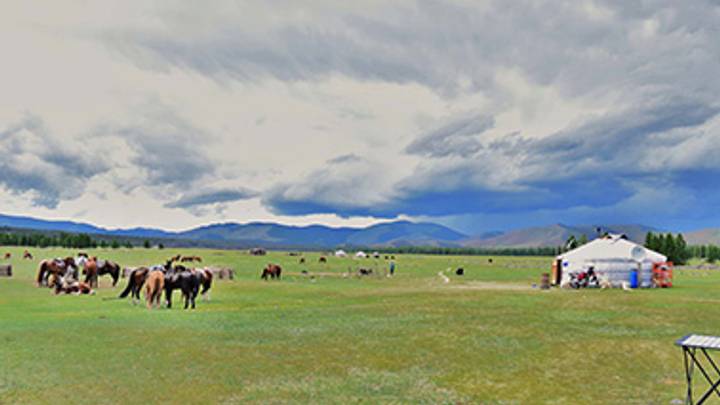 Visit a nomad family