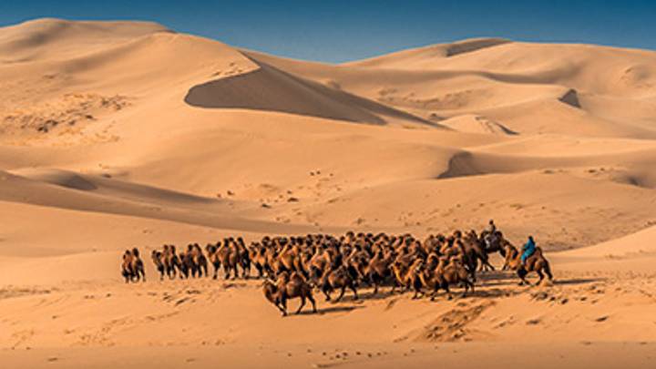 Khongor sand dunes